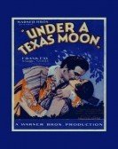 Under a Texas Moon (1930) poster