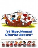 A Boy Named Charlie Brown (1969) Free Download