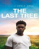 The Last Tree (2019) Free Download