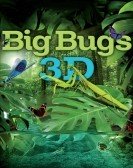 Big Bugs 3D (2012) poster