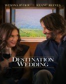 Destination Wedding (2018) Free Download