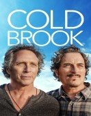 Cold Brook (2019) poster