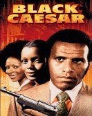 Black Caesar (1973) Free Download