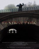 Central Park (2017) poster