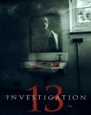 Investigation 13 (2019) poster