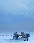 Aningaaq Free Download