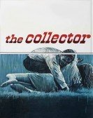 The Collector (1965) poster