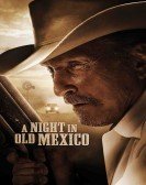 A Night in Old Mexico Free Download