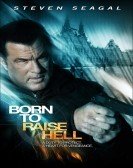 Born to Raise Hell Free Download