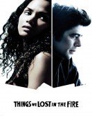 Things We Lost in the Fire (2007) poster