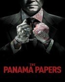 The Panama Papers (2018) Free Download