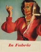 In Fabric (2019) poster