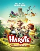 Hurvínek a kouzelné muzeum (2017) Free Download