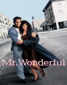 Mr. Wonderful (1993) poster