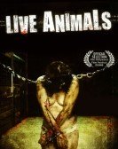 Live Animals (2008) Free Download