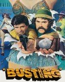 Busting (1974) Free Download