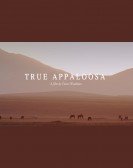 True Appaloosa poster