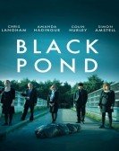 Black Pond (2011) poster