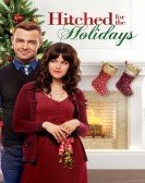 Hitched for the Holidays (2012) poster