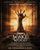 Wake Wood (2011) poster