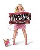 Legally Blonde: The Musical (2007) poster