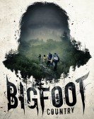 Bigfoot Country (2018) poster