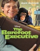 The Barefoot Executive (1971) poster