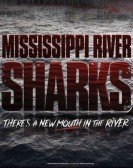 Mississippi River Sharks (2017) Free Download