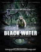 Blackwater (2007) Free Download