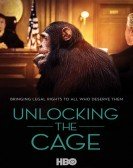 Unlocking the Cage (2016) Free Download