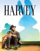 Harvey poster