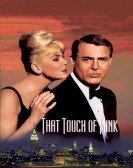 That Touch of Mink (1962) Free Download