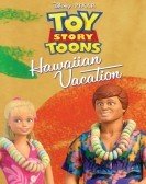 Hawaiian Vacation (2011) Free Download