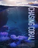 Chasing Coral (2017) Free Download