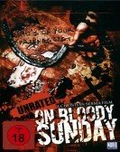 On Bloody Sunday (2007) Free Download