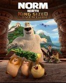 Norm of the North: King Sized Adventure (2019) poster