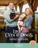 Like Cats & Dogs (2017) Free Download