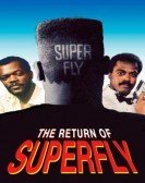 The Return of Superfly (1990) Free Download