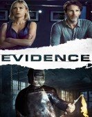 Evidence (2013) poster