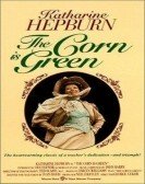 The Corn Is Green (1979) Free Download