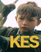 Kes (1969) Free Download