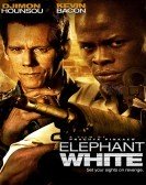 Elephant White (2011) Free Download