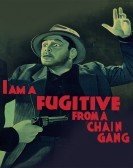 I Am a Fugitive from a Chain Gang (1932) Free Download