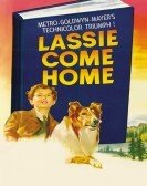 Lassie Come Home (1943) Free Download