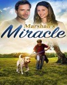 Marshall's Miracle (2015) Free Download