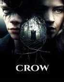 Crow (2016) poster