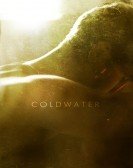 Coldwater (2013) Free Download