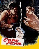 Cape Fear poster