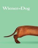 Wiener-Dog (2016) poster