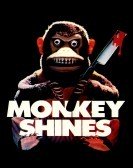 Monkey Shines (1988) Free Download